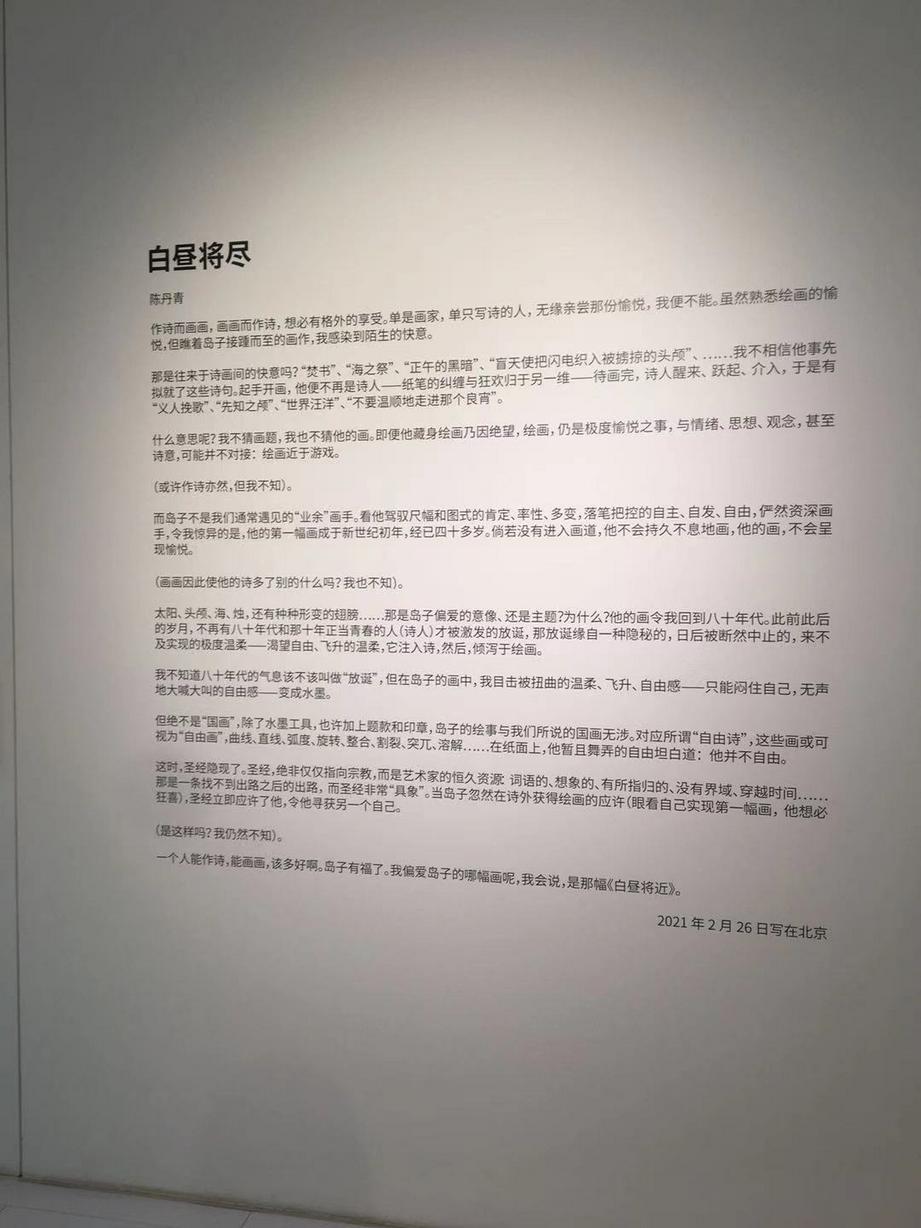 著名画家、文艺评论家、作家陈丹青为本次作品展作的艺术评论