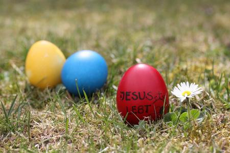 草地上的复活节彩蛋（图：摄图网）